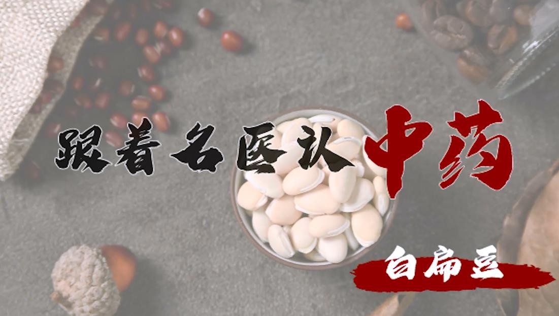 #2022年新時代健康科普大賽獲獎作品#跟著名醫(yī)認中藥-白扁豆