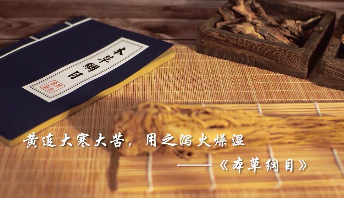 #2022年新時代健康科普大賽獲獎作品#跟著名醫(yī)認中藥-黃連